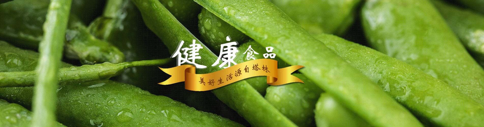 金都塔林